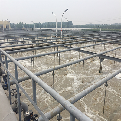旋流曝气器在淀粉加工废水中的应用